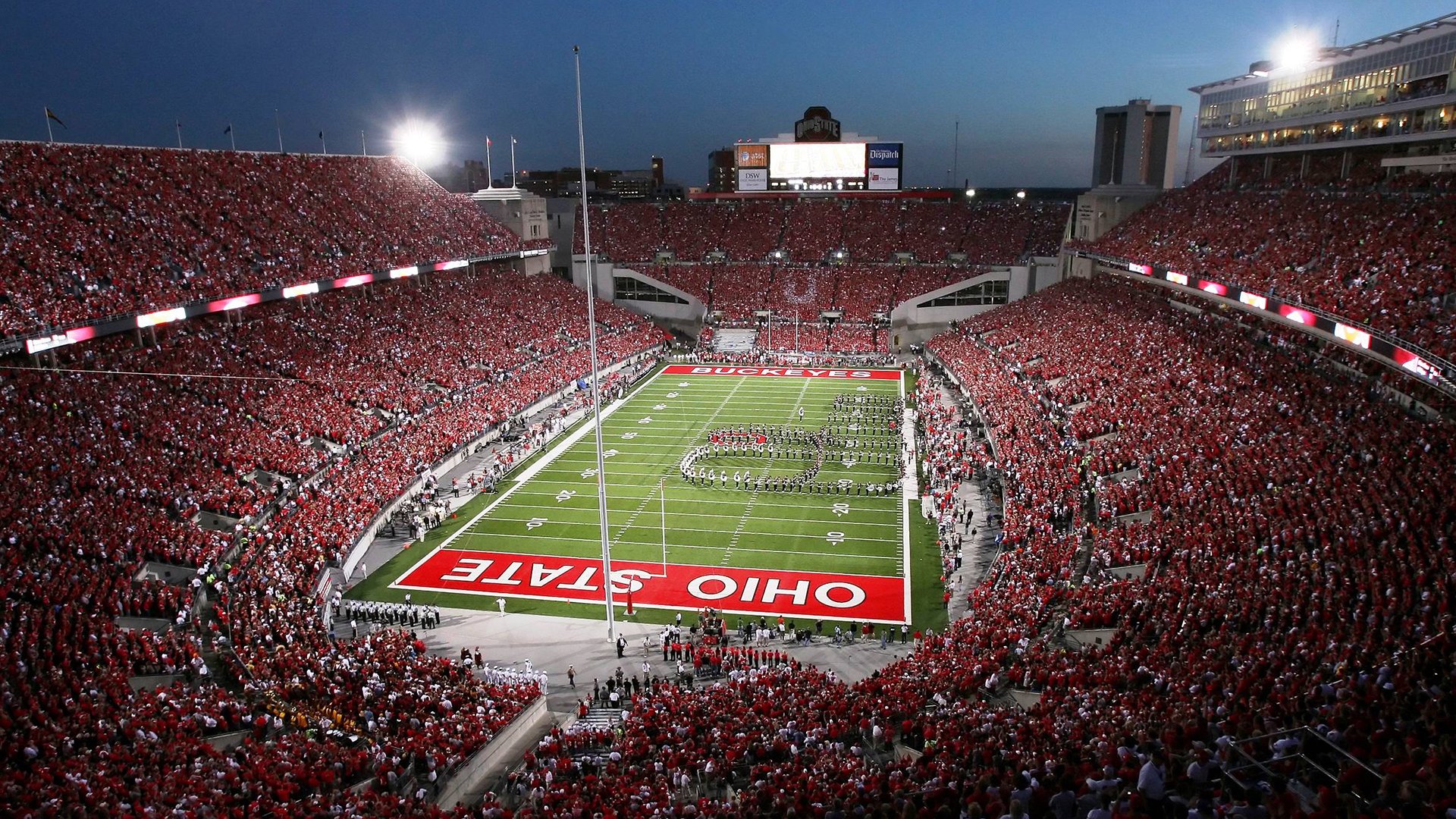 世界杯冠军队未来计划：主帅承诺继续带队征战下一届